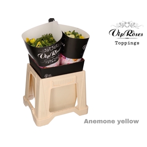 Anem Yellow