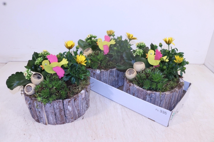 <h4>ARR TUINPLANTEN</h4>