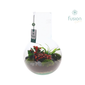 Green Bottle Suzanne Large met arrangement