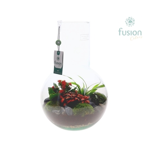 Green Bottle Suzanne Large met arrangement