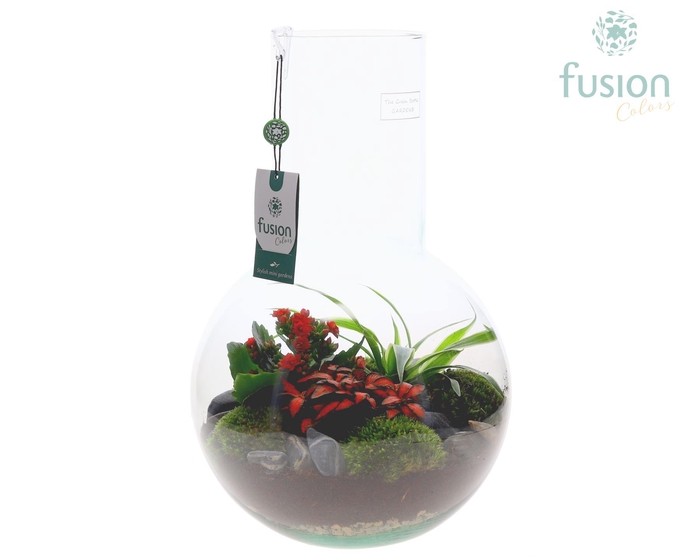 <h4>Green Bottle Suzanne Large met arrangement</h4>