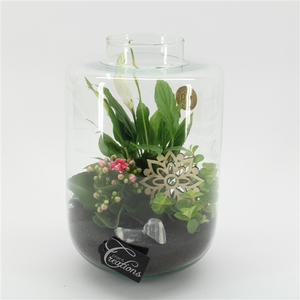 ESCR-2533RZ Essentials terrarium