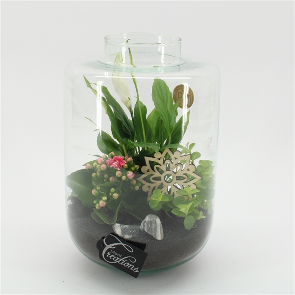 <h4>ESCR-2533RZ Essentials terrarium</h4>