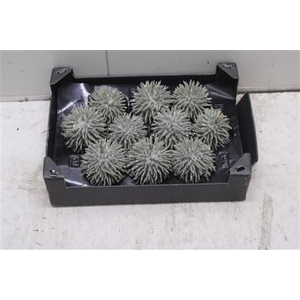 F-stekel Glitter Olijf