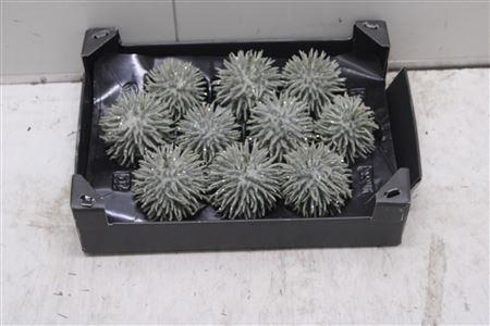 <h4>F-stekel Glitter Olijf</h4>