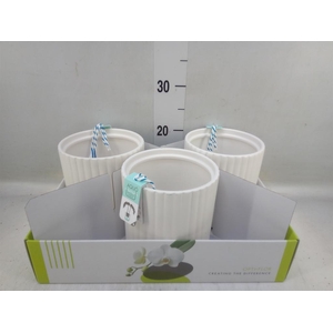 Pot   ...Keramische H%