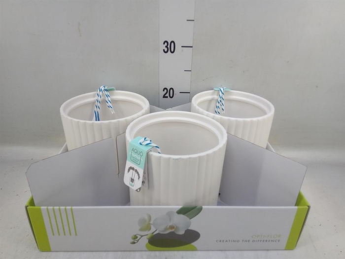 <h4>Pot   ...Keramische H%</h4>