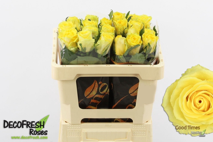 <h4>R GR Good Times</h4>