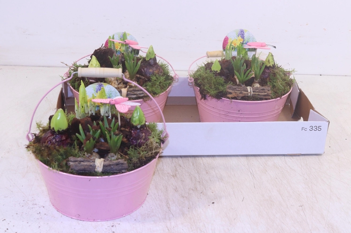 <h4>ARR BOL KNOLGEWAS</h4>