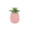 Pineapple Tropical Pink Vase 18x18x28cm Nm