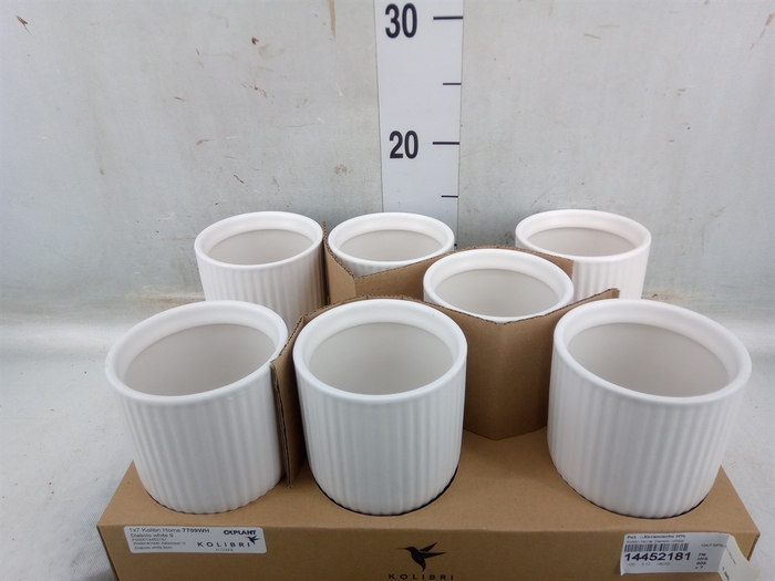 <h4>Pot   ...Keramische H%</h4>