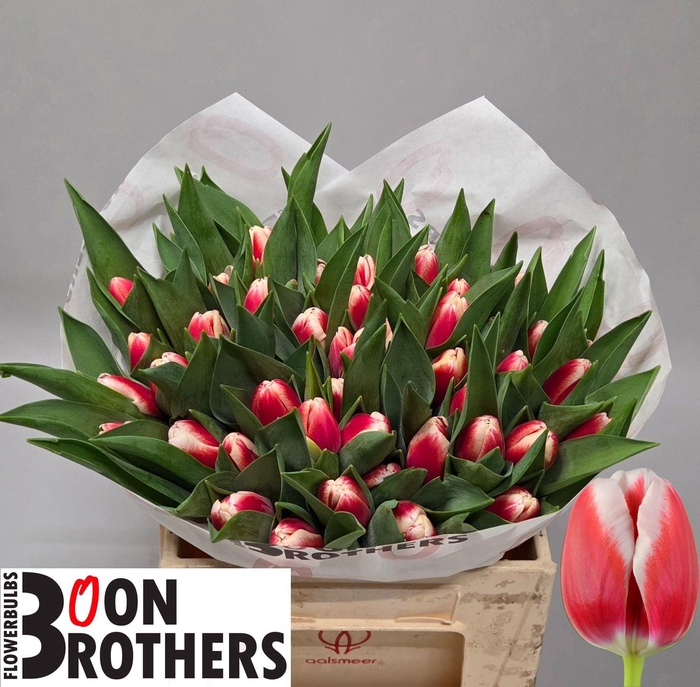 <h4>TU EN OUTFIT</h4>