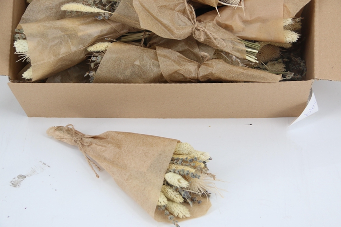 <h4>DF Bouquet 25cm A'dam Bleached</h4>