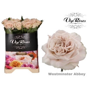 R GR WMINSTER ABBEY! x 20
