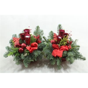 503 ROOD PUNTLICHT RIBBEL