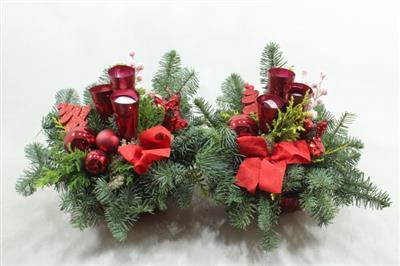 <h4>503 ROOD PUNTLICHT RIBBEL</h4>