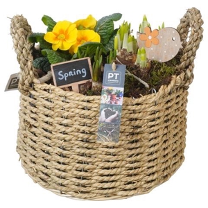 PTBM3834 Arrangementen Tuinplanten