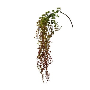 Kunstbloemen Muehlenbeckia 82cm