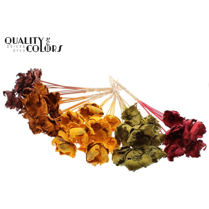 <h4>Palm cup on stem Bleached  Pumpkin Mix</h4>