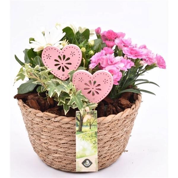 <h4>Touwmand naturel 18cm</h4>