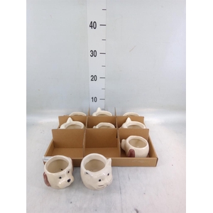 Pot   ...Keramische H%