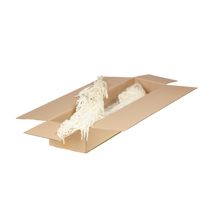 <h4>Amaranthus Caudatus Preserved Sb Bleached White</h4>