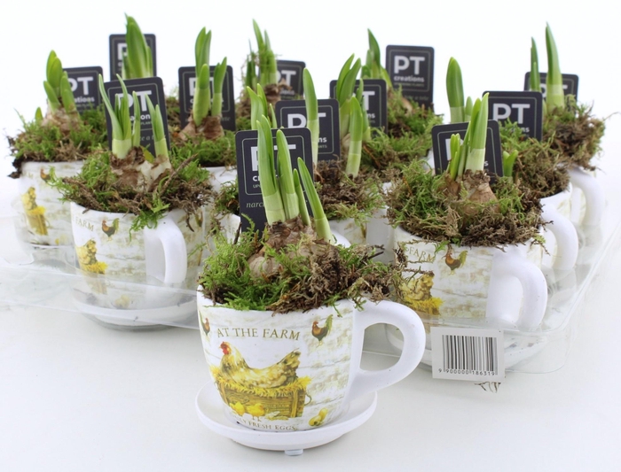 <h4>ARR N TETE A TETE</h4>