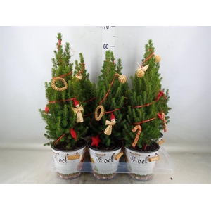 Kerstboom   ...versierd