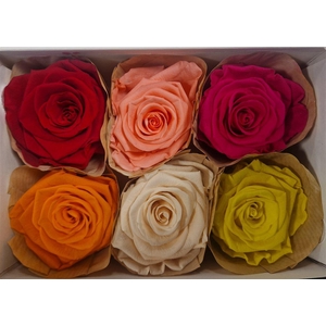 Ro Pres Classic Mix Classic