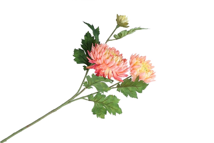 <h4>Silk Chrysant Peach 71cm Nm</h4>