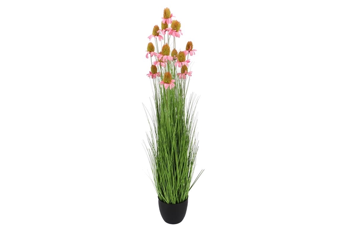 <h4>Silk Cosmos Grass Pink 150cm</h4>