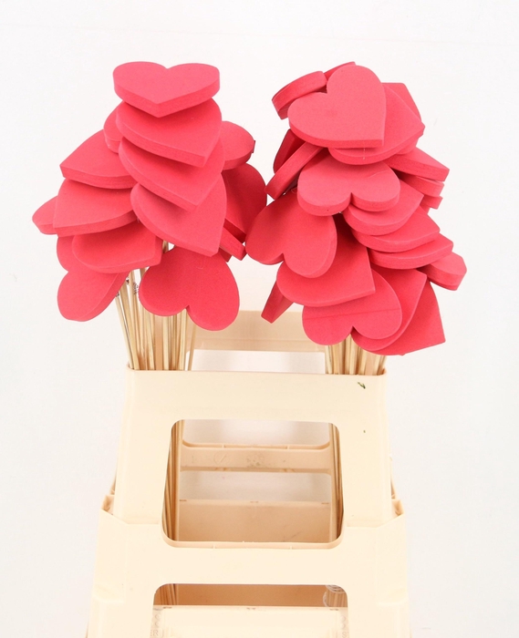 <h4>HARTJE OP STOK H%</h4>