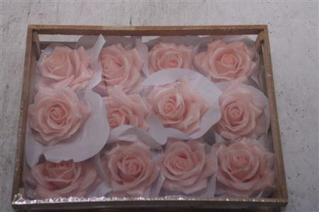 <h4>Wax Roos Baby Roze</h4>