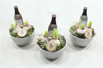 <h4>2772 Ker Zilver Hyac</h4>