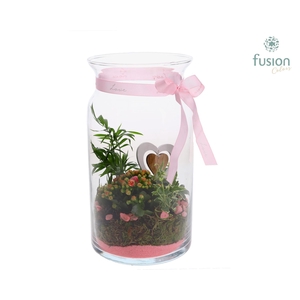 Melkbus Moederdag met arrangement