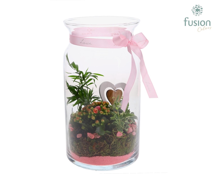 <h4>Melkbus Moederdag met arrangement</h4>