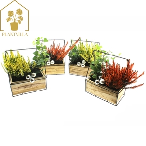 ARR TUINPLANTEN
