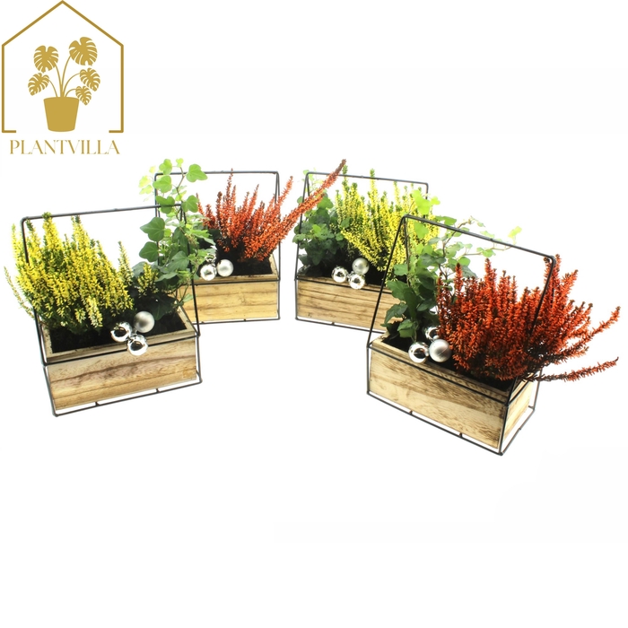 <h4>ARR TUINPLANTEN</h4>
