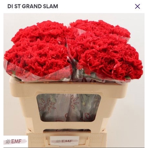 Di St Grand Slam EMF