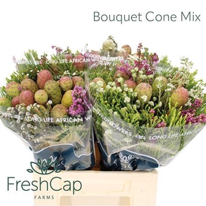 Bouquet Cone Mix