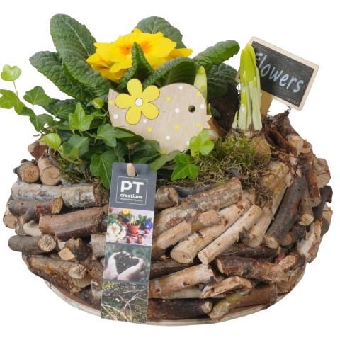 <h4>PTBM3903 Arrangement Flower Bulbs Mix in houten pot</h4>