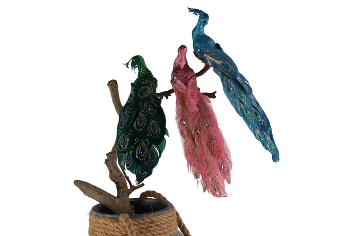 <h4>Deco Shine Bird Peacock Multicolor 24cm Ass P/1</h4>