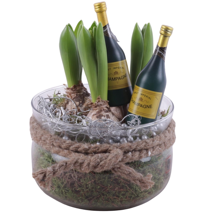 <h4>New Year Arr. Hyacint Glass Bowl Ø16cm 3PP</h4>