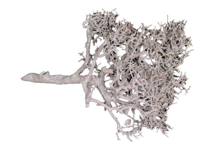 Bonsai twig 30-50cm p/pc White + Pearl Glitter