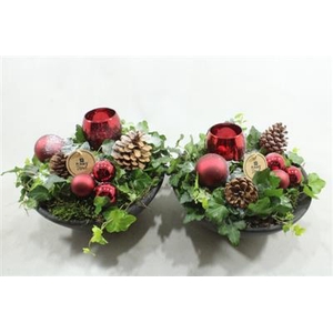 0022 Ebbi Rood Hedera