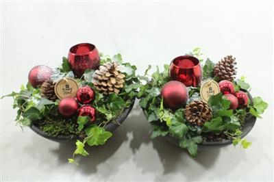 <h4>9799 EBBI ROOD</h4>