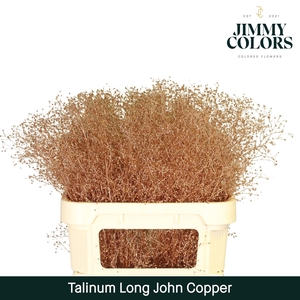 Talinum Long John L80 Koper