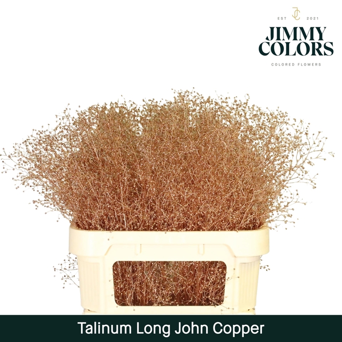 <h4>Talinum Long John L80 Koper</h4>