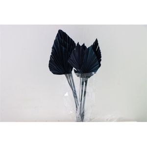 Dried Palm Spear 10pc Dark Blue Bunch