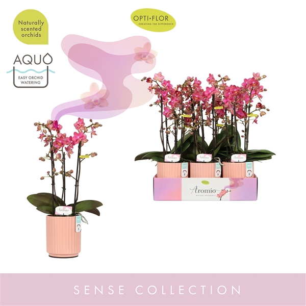 <h4>Aromio Floral 3 spike in Salmon Molise Aquo</h4>